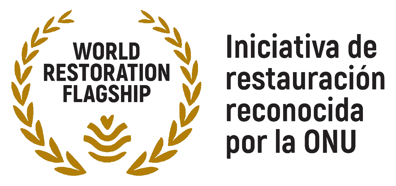 Iniciativa de restauración reconocida por la ONU