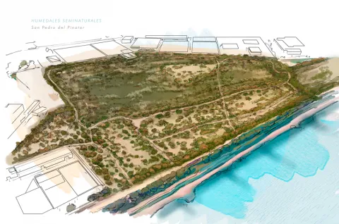 ilustracion de humedales seminaturales