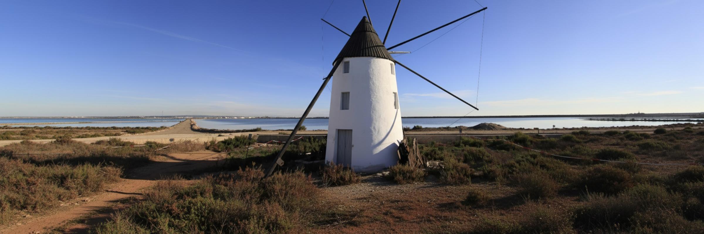 Molinos de Quintín y Calcetera