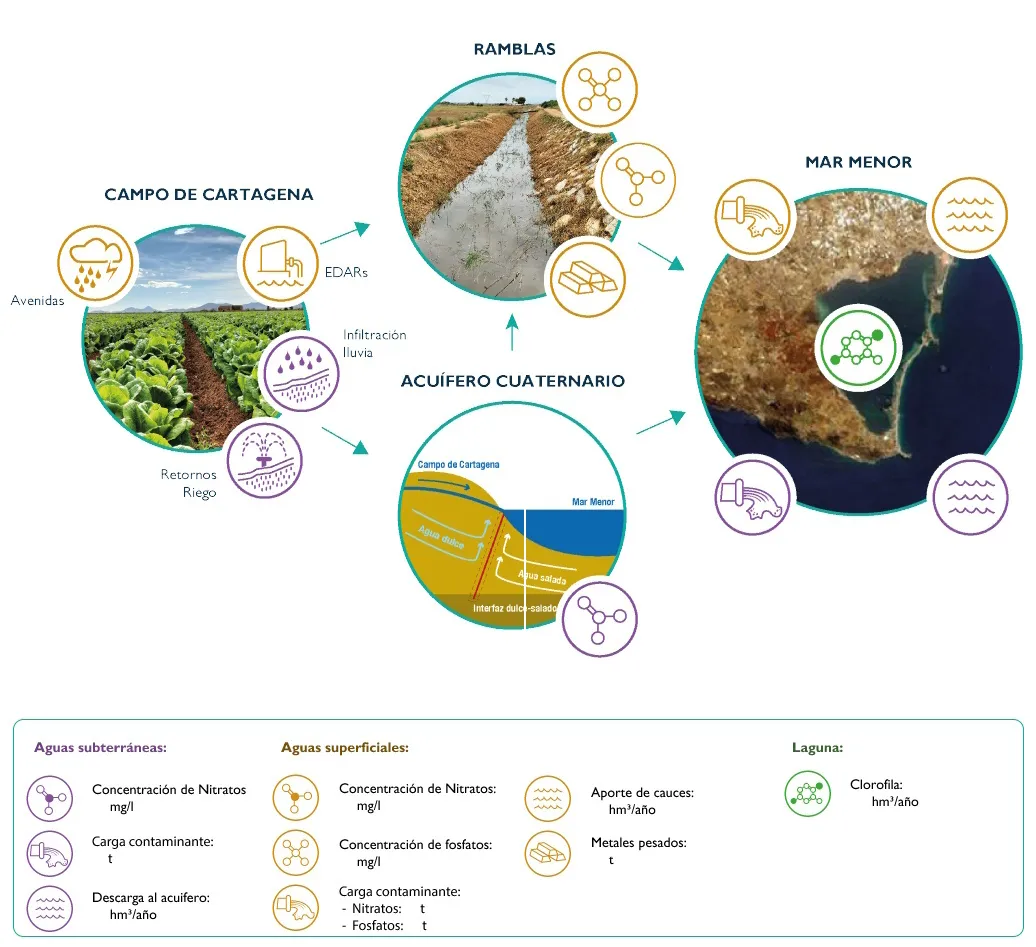 infografia esquematica para el dss